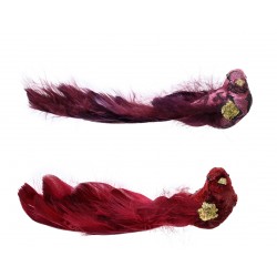 Oiseau Sur Clip Rose/Rouge...
