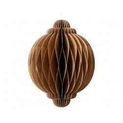 Suspension Oignon Pliable...