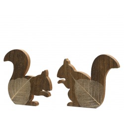 Ecureuil Bois Brun 21X17.5...