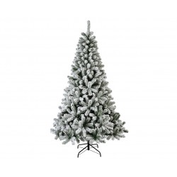 Sapin Monarch Vert/Blanc En...