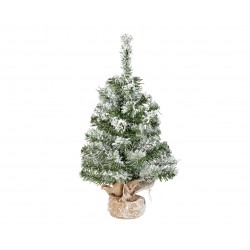 Sapin Imperial Vert/Blanc...