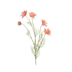Tige De Marguerite Orange...