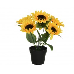 Tournesol En Pot Jaune En...