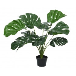 Monstera En Pot Vert En...