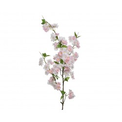 Tige De Cerisier Rose Doux...