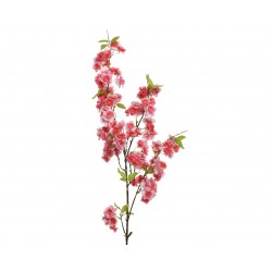 Tige De Cerisier Rose Vif...