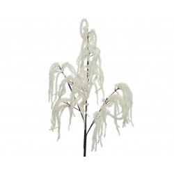 Branche Saule Creme En...