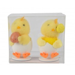 Boite De 2 Poussins Dans...