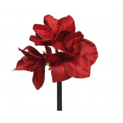 Tige D'Amaryllis Rouge H60...