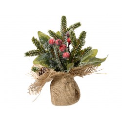Mini-Sapin+Baie En Pot Jute...