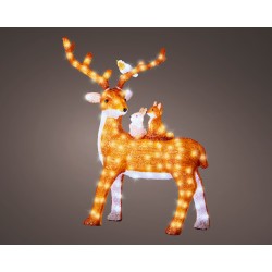 Cerf Debout Animaux...