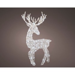 Renne Led Transparent/Blanc...
