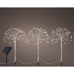 pic de jardin étoile led...
