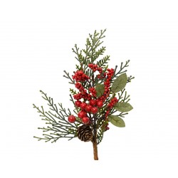 Tige De Sapin+Baie...