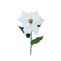 Tige De Poinsettia Blanc...