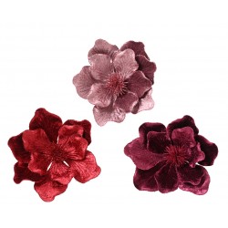 Magnolia Sur Clip Rose En...