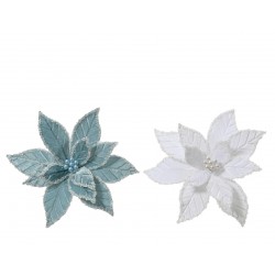 Poinsettia Sur Clip...