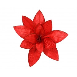Poinsettia Sur Clip Rouge...