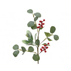 Tige De Baie+Feuille...