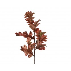 Tige D'Eucalyptus Rouge...