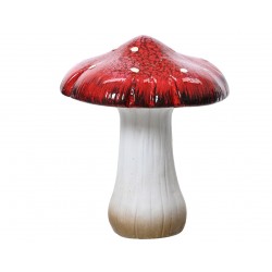 Champignon Rouge/Blanc En...