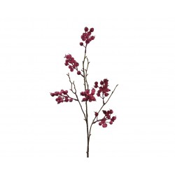 Tige De Baie Rouge Grenade...