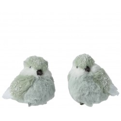 Oiseau Fourrure Sur Clip...