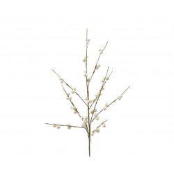 Tige De Baie Perle En...