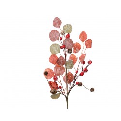 Tige D'Eucalyptus Naturel...