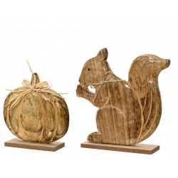 Ecureuil/Citrouille Bois...