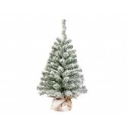 Sapin Imperial Vert/Blanc...