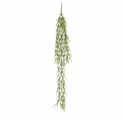 Chute De Springeria Vert En...