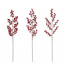 Tige De Baies Rouge En...