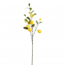 Tige De Citron Jaune En...