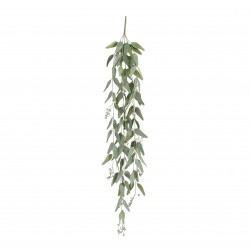 Chute D'Eucalyptus Vert En...