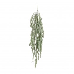 Chute De Fougère Vert En...