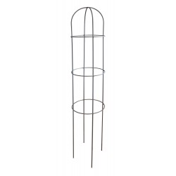 Obelisq.3 cercles...