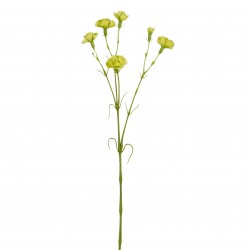 Tige D'Oeillet Vert En...