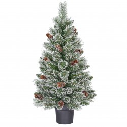 Sapin Vandans Pomme Pin +...