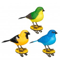Oiseau À Pile...