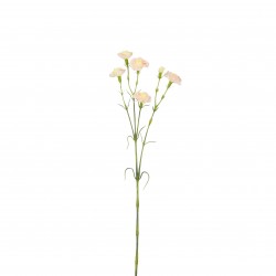 Tige D'Oeillet Rose Clair...