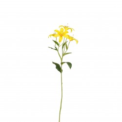 Tige De Lis Jaune En...