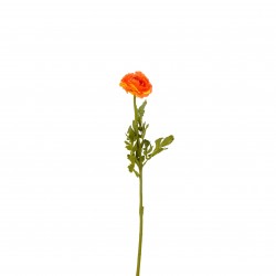 Tige De Ranunculus Orange...