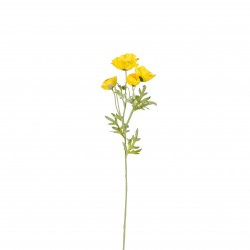 Tige De Coquelicot Jaune En...