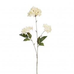 Tige D'Hortensia Crème En...