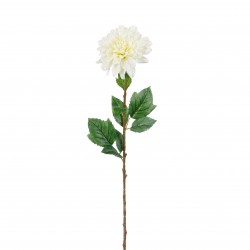 Tige De Dahlia Blanc En...