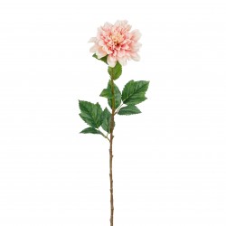 Tige De Dahlia Rose Clair...