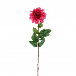 Tige De Dahlia Fuchsia En...