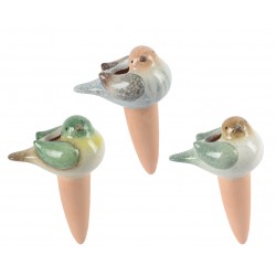 Pique Arroseur Oiseau En...