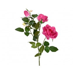 Tige De Rose+Bouton Rose...
